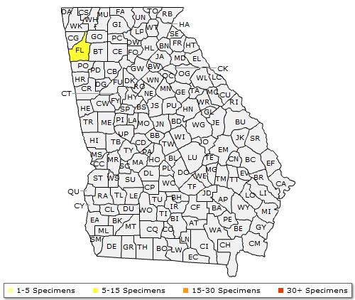 The range of Prunus mexicana